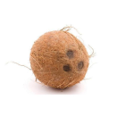 Coconut (India)